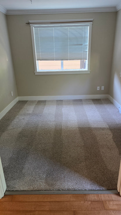 Carpet Cleaning Services